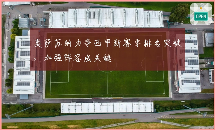 奥萨苏纳力争西甲新赛季排名突破，加强阵容成关键